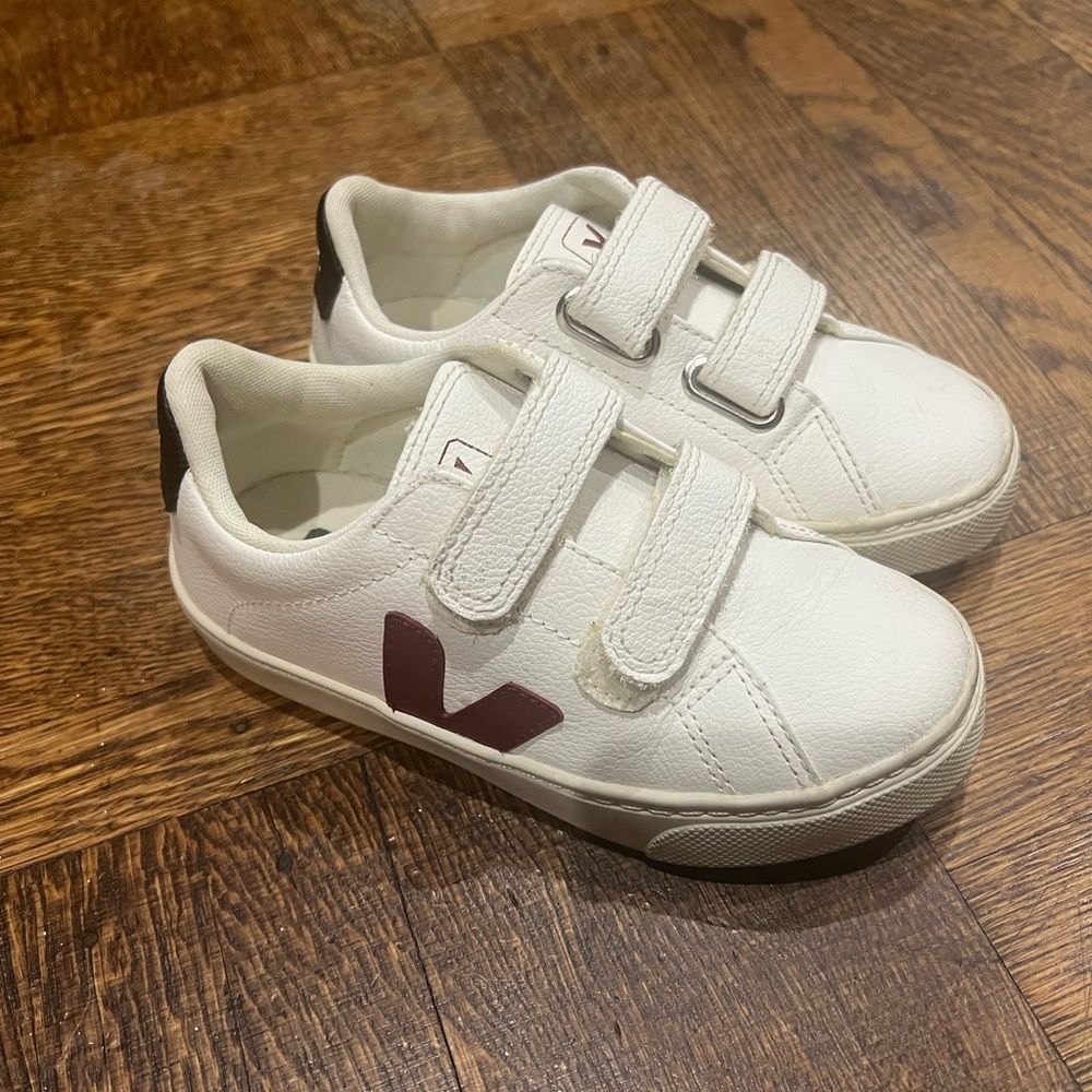 Little boy adorable Veja sneakers
